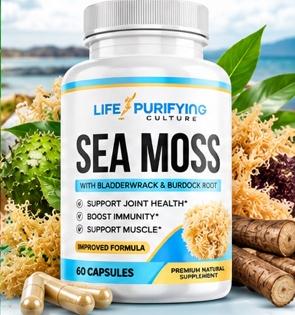 Sea Moss capsules with Bladderwrack and Burdock Root bottle